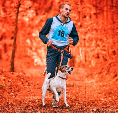 Dog Run